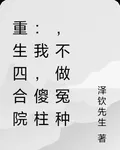 重生四合院：我，傻柱，不做冤種 封面
