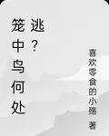 籠中鳥何處逃？ 封面