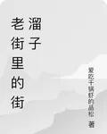 老街裏的街溜子 封面