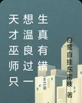 天才巫師只想溫良過一生真有錯嗎 封面