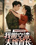 新婚夜成血包？我搬空渣夫嫁首長 封面