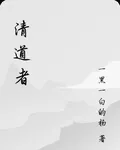 清道者 封面