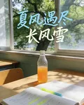 夏風遇盡長風雪 封面