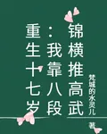 重生十七歲：我靠八段錦橫推高武 封面