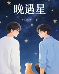 晚遇星 封面