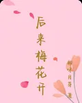 後來梅花開 封面