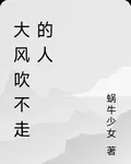 大風吹不走的人 封面