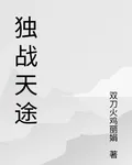 獨戰天途 封面