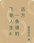 飛馳人生4：一條縫的遠方 封面