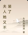 夫人她又不裝了 封面