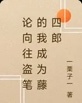 論嚮往盜筆的我成爲藤四郎 封面