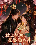 枕上驚鴻：星落遇雲昇 封面
