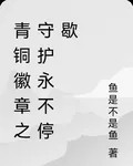 青銅徽章之守護永不停歇 封面