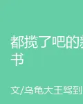 都攬了吧的新書 封面