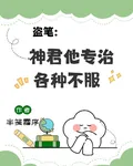 盜筆：神君他專治各種不服 封面