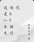 這是一本走向be的日記 封面