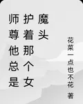 師尊他總是護着那個女魔頭 封面