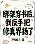 綁架穿書後，我反手把修真界揚了 封面