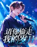 請你偷走我的歲月 封面