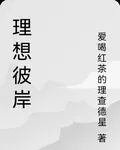 理想彼岸 封面