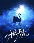 泄天光 封面