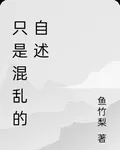 只是混亂的自述 封面