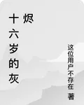 十六歲的灰燼 封面
