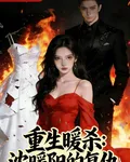 重生暖殺：沈暖陽的復仇 封面