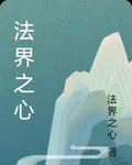 法界之心 封面
