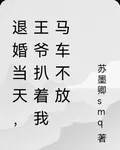 退婚當天，王爺扒着我馬車不放 封面