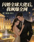 閃婚全球大佬，我颯爆全網 封面