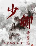 少卿奇案志 封面