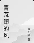 青瓦鎮的風 封面