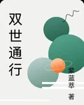 雙世通行 封面