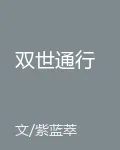 雙世通行 封面