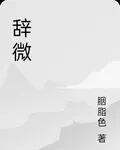 辭微 封面