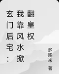 玄門後宅：我靠風水掀翻皇權 封面