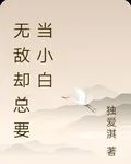 無敵卻總要當小白 封面