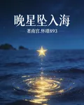 晚星墜入海 封面