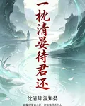 一枕清晏待君 封面