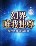 幻界唯我獨尊 封面