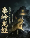 秦嶺龍經 封面