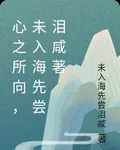 心之所向，未入海先嚐淚鹹著 封面
