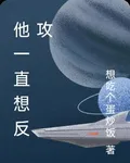 他一直想反攻 封面