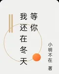 我還在冬天等你 封面