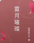 雷月璀璨 封面