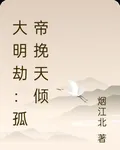 大明劫：孤帝挽天傾 封面
