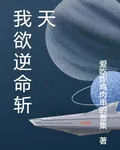 我欲逆命斬天 封面