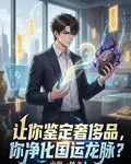 讓你鑑定奢侈品，你淨化國運龍脈 封面