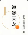 道緣天龍 封面